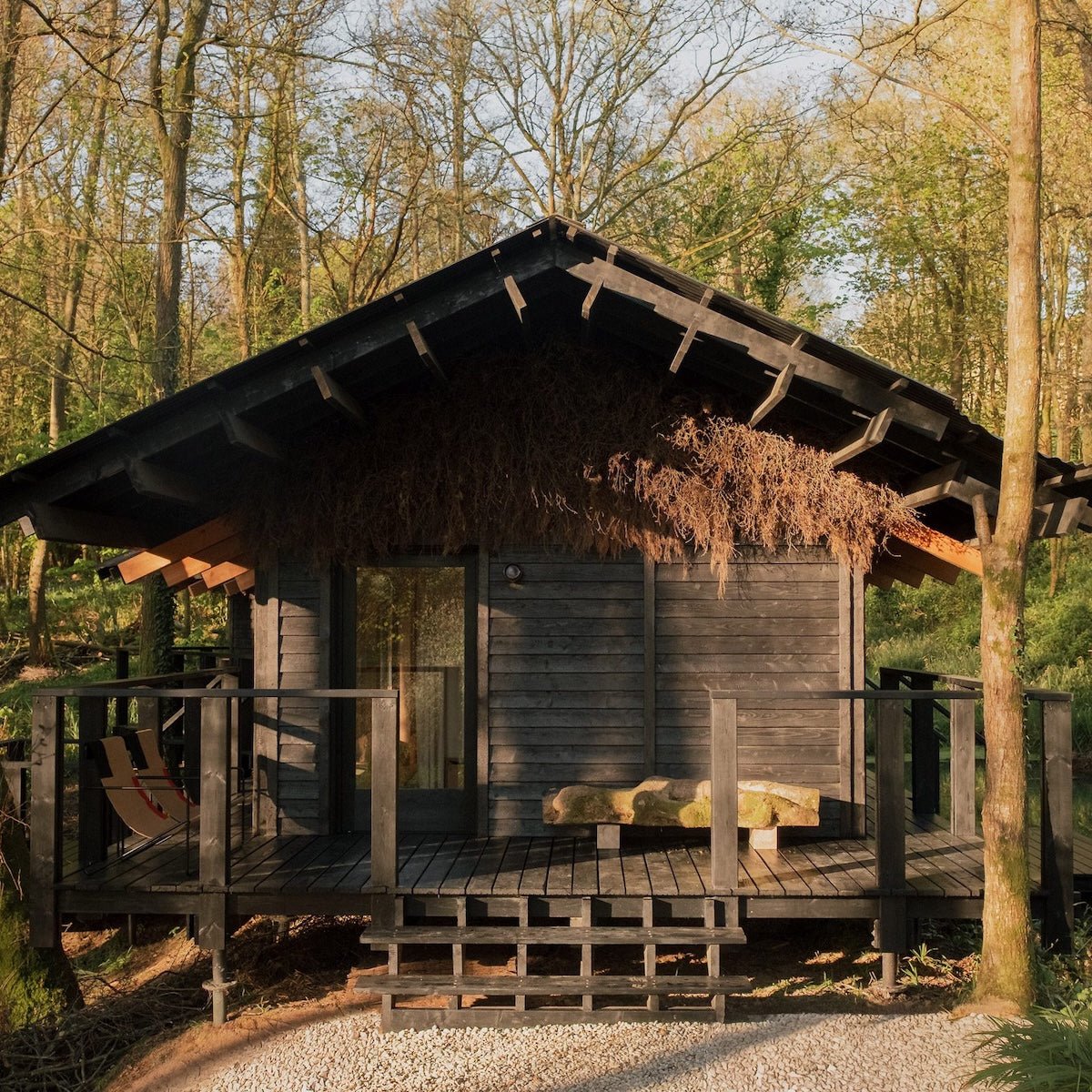 YOGI'S CABIN, EAST SUSSEX | LIGHTING SUPPLY | DESIGN BY BUILT WORKS | PHOTOGRAPHY BY CONNOR DUFFY - DYKE & DEAN