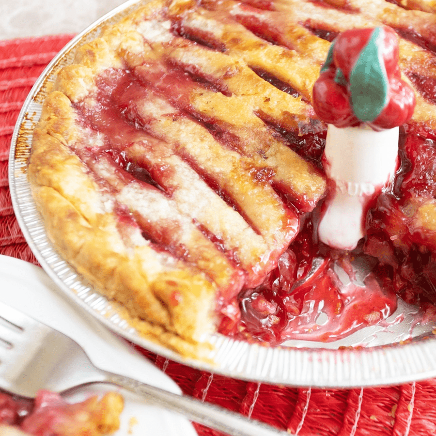 CERAMIC CHERRY PIE VENT PIE BIRD - DYKE & DEAN