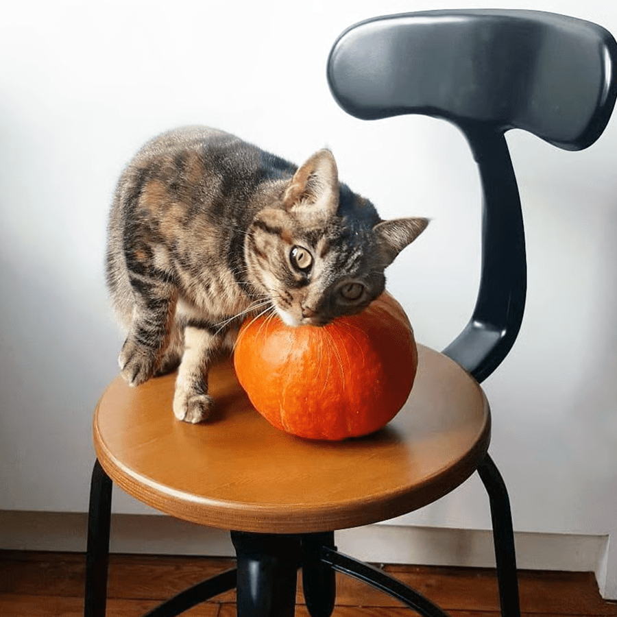 CHAISES NICOLLE DESSINATEUR TALL ADJUSTABLE SWIVEL CHAIR WOOD - DYKE & DEAN