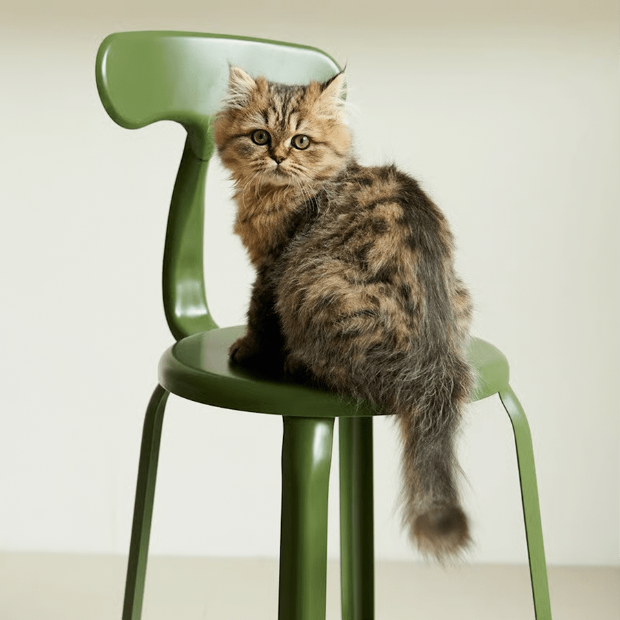 CHAISES NICOLLE METAL CHAIR 45 - DYKE & DEAN