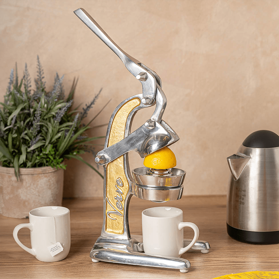 GOLD MEXICAN CITRUS JUICER - DYKE & DEAN