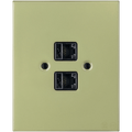 KATY PATY PORCELAIN PLATE DOUBLE PC/ USB WALL SOCKET MOSS GREEN - DYKE & DEAN