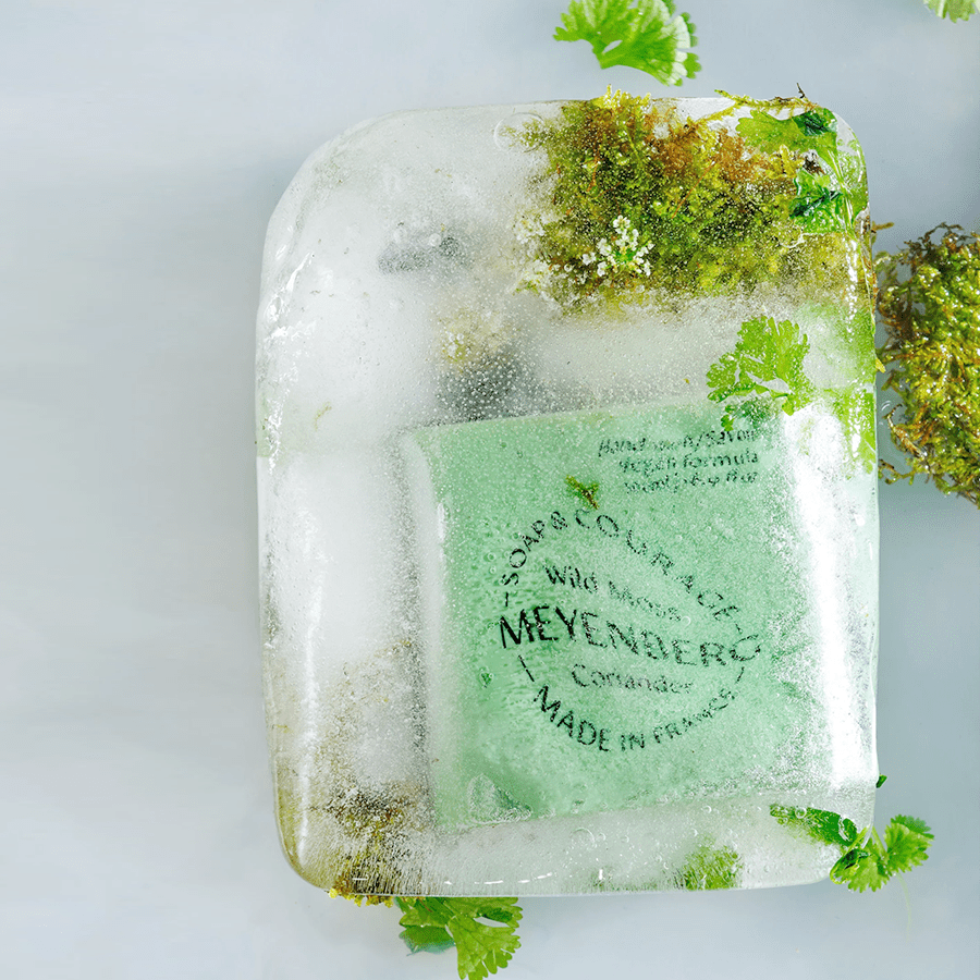 MEYENBERG SOAP & COURAGE HAND WASH - DYKE & DEAN