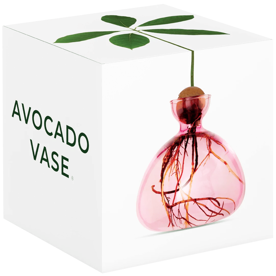 AVOCADO VASE - DYKE & DEAN