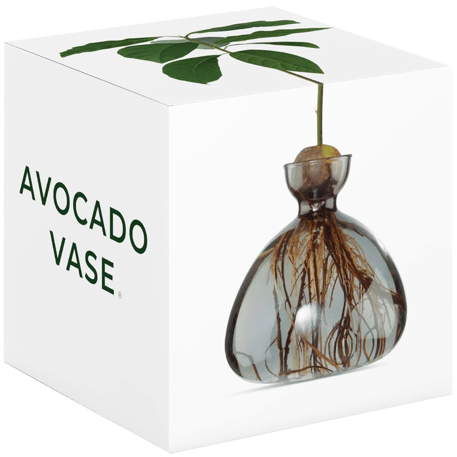 AVOCADO VASE - DYKE & DEAN